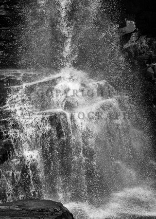 Blackwater Falls I Monochrome